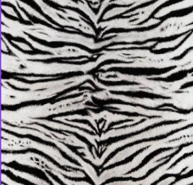 Animal Print