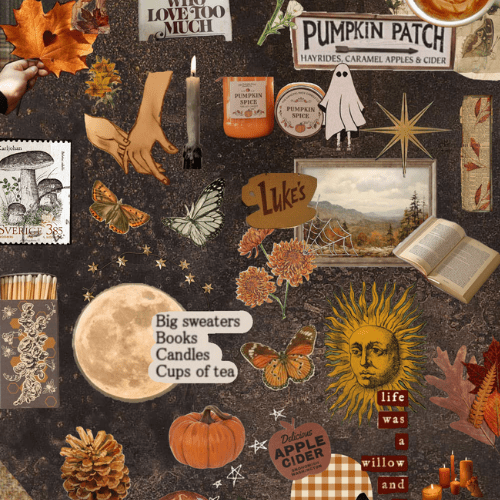 Fall - Layreen Cases