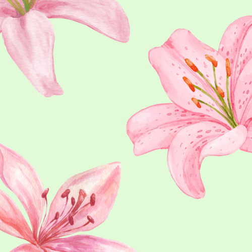 Floral - Layreen Cases
