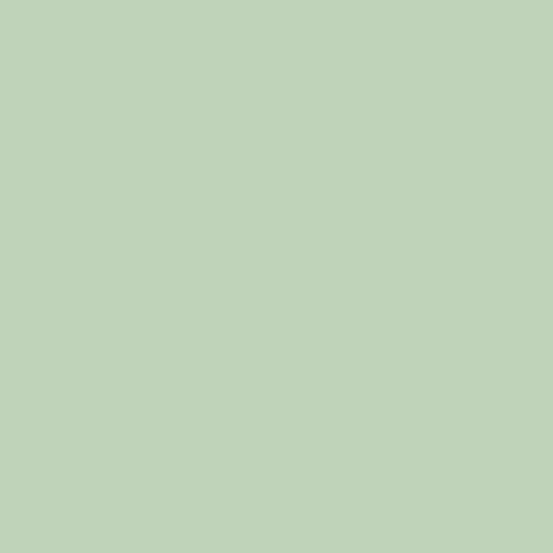 Green Cases - Layreen Cases