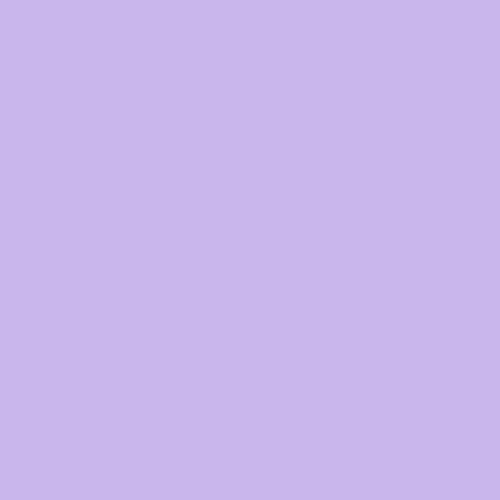 Purple Cases - Layreen Cases