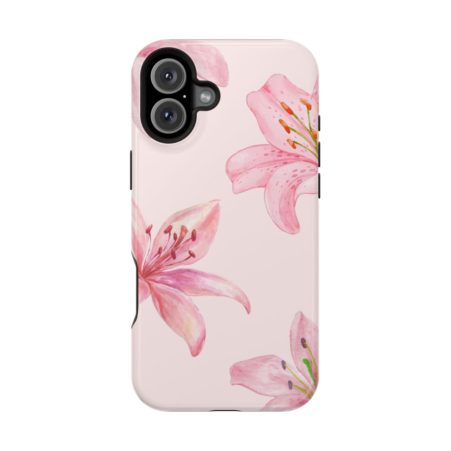 Pink Blush Lily