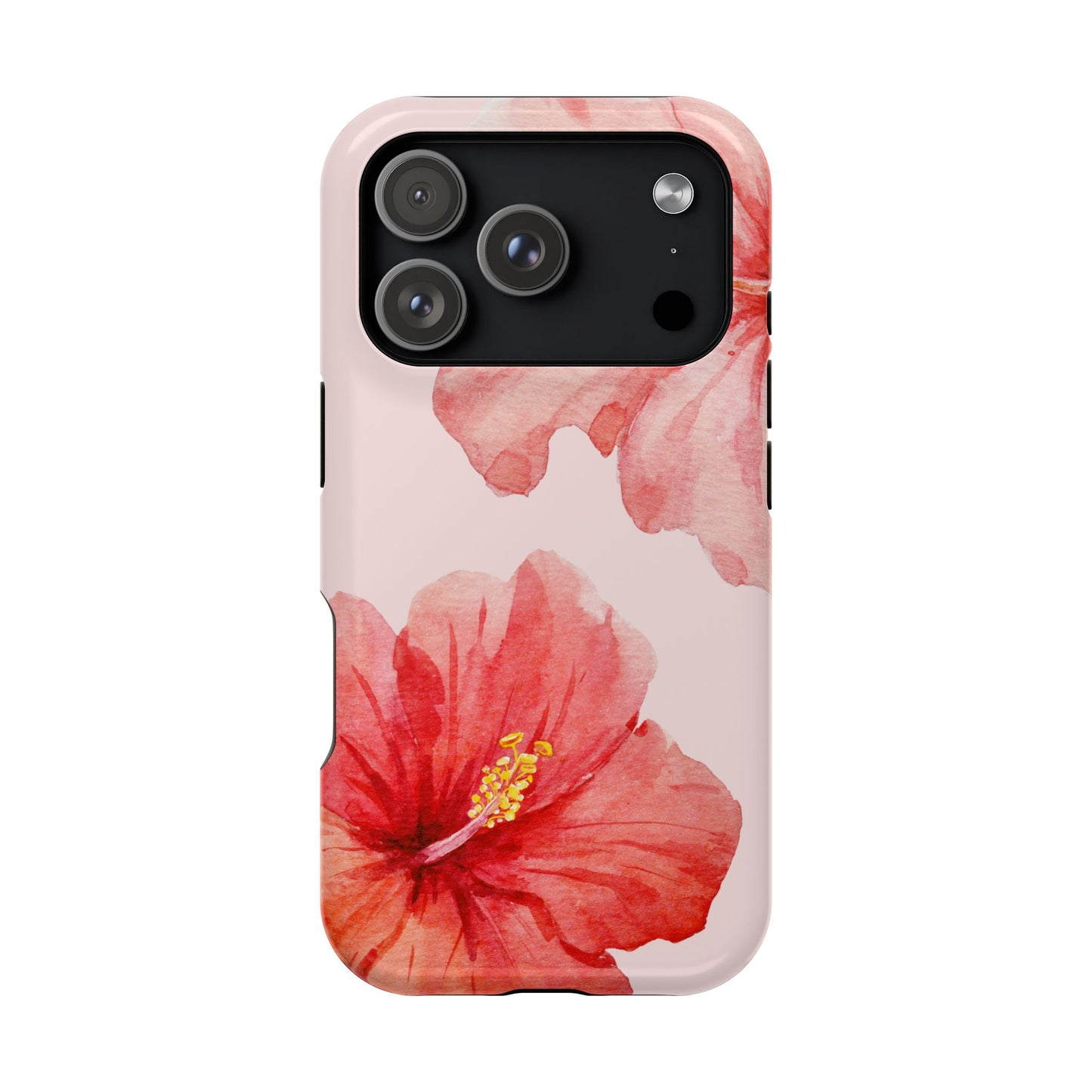 Hibiscus Bloom Pink