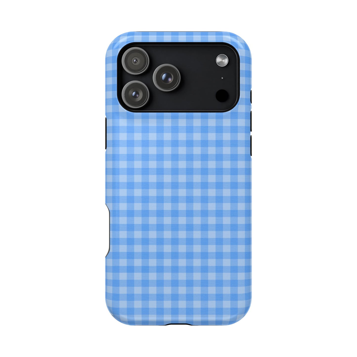 Blue Gingham Case