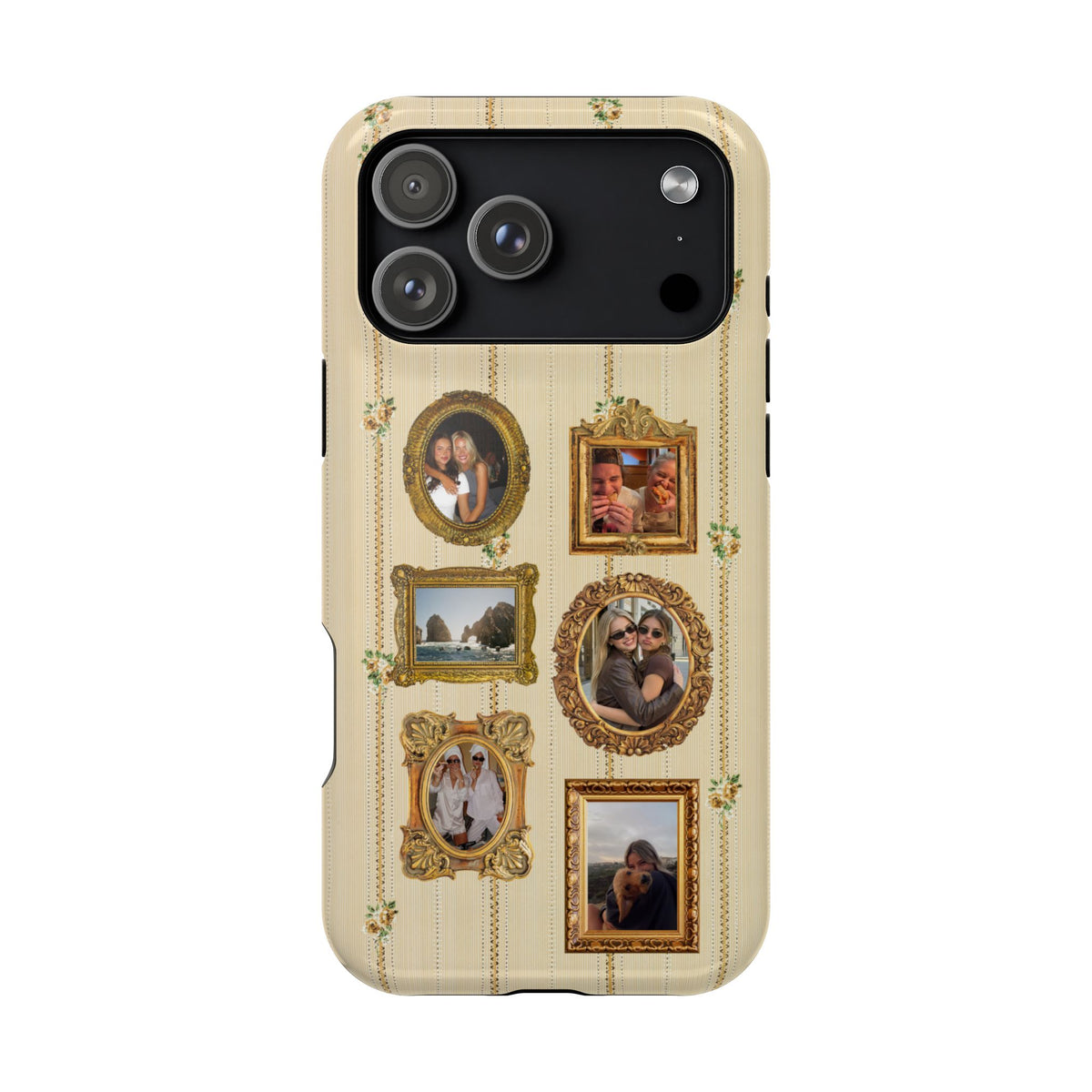 Museum Picture Frames Custom Case